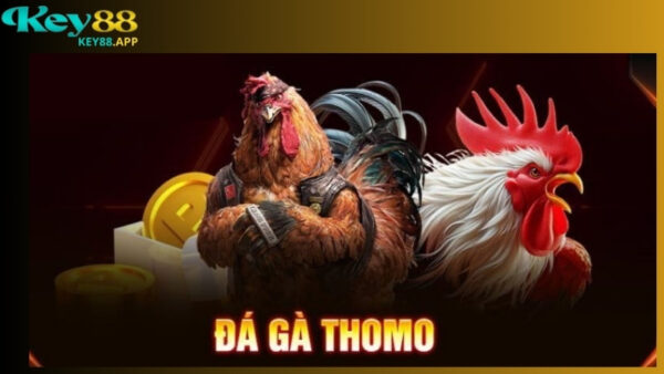 Giới thiệu về đá gà Thomo